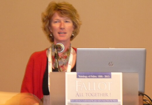 2013 juin 11 12 congres fallot marseille