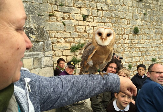 2015 mai rencontre chauvigny