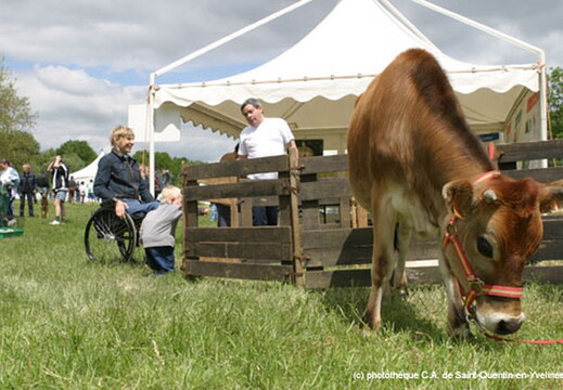 defi-naturechris2 mai2004.jpg